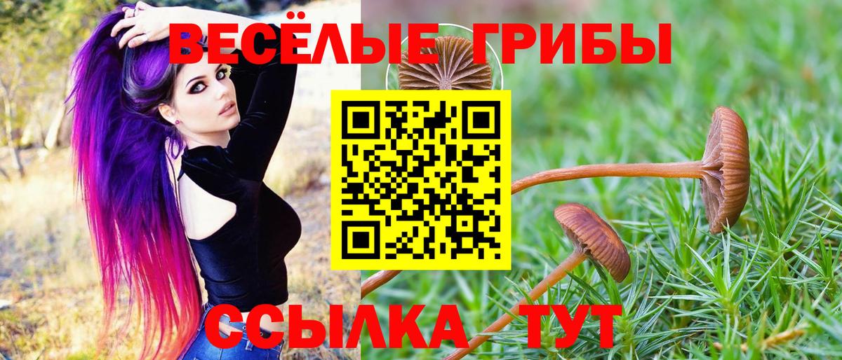 Галлюциногенные грибы ЛСД  Вход с VPN  Лиски 