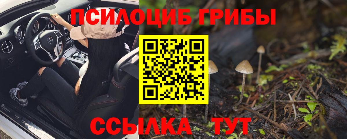 Псилоцибиновые грибы Magic Shrooms Лиски
